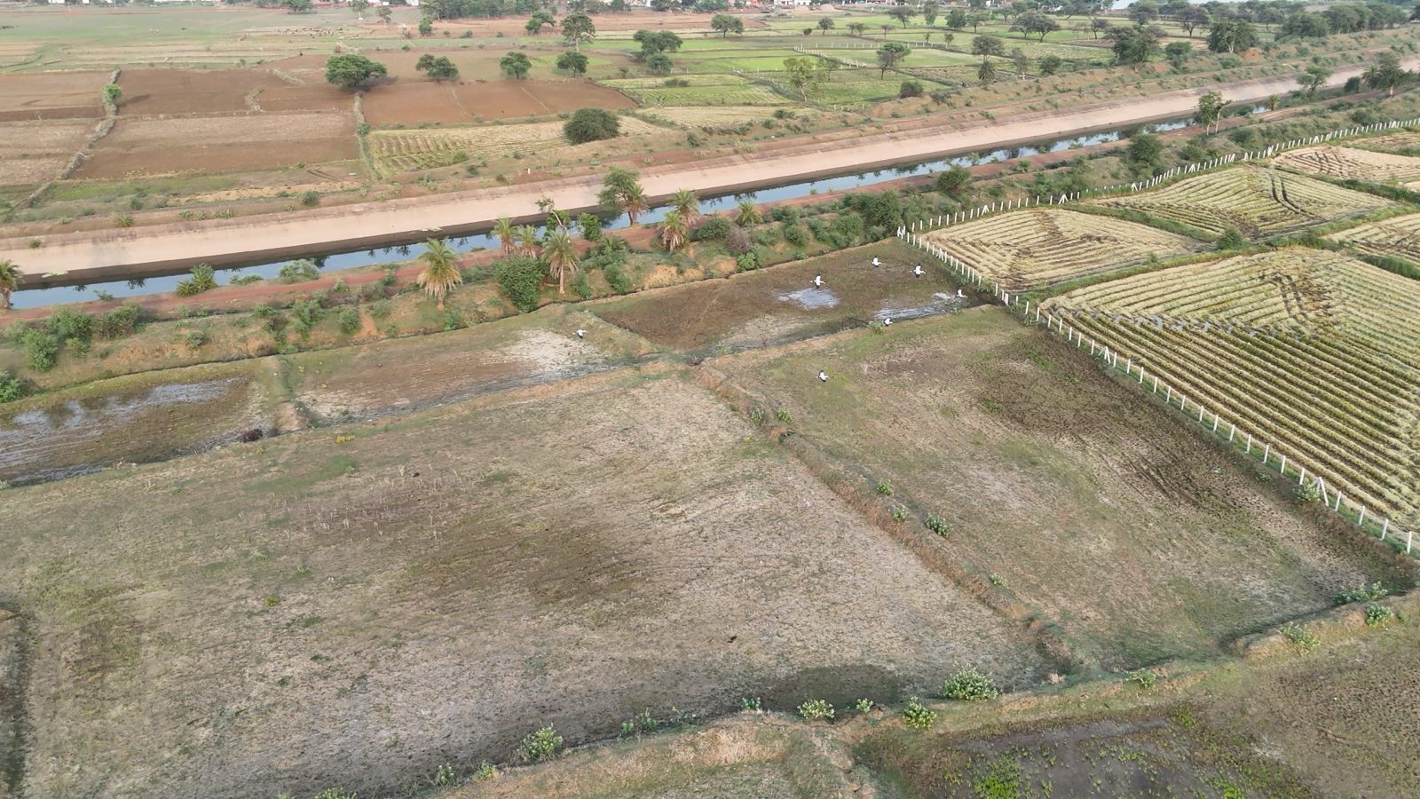 Agricultural drone